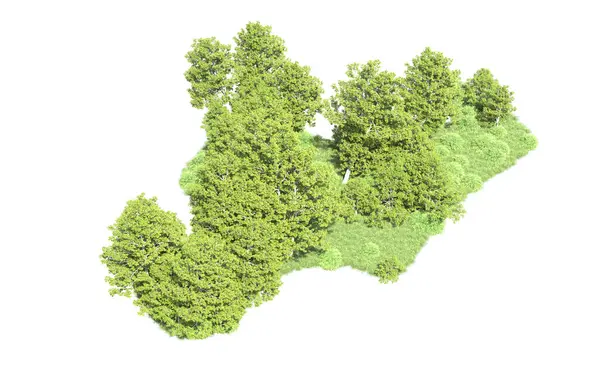 Beyaz arkaplanı olan bir grup ağaç 