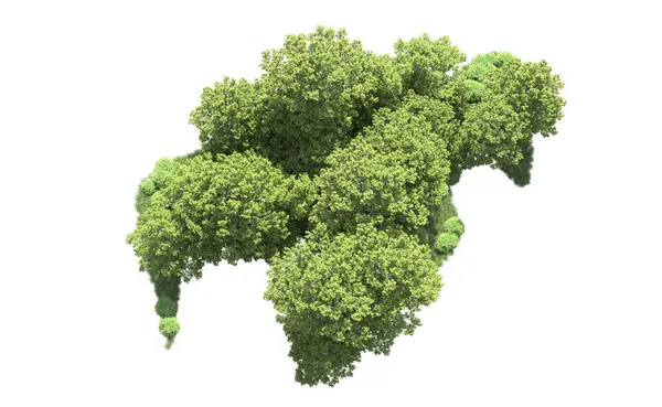 Beyaz arkaplanı olan bir grup ağaç 