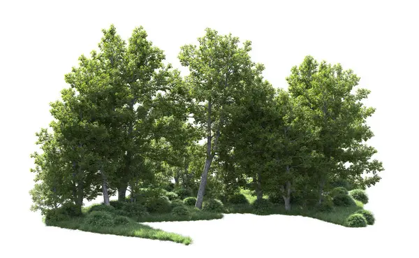 Beyaz arkaplanı olan bir grup ağaç 
