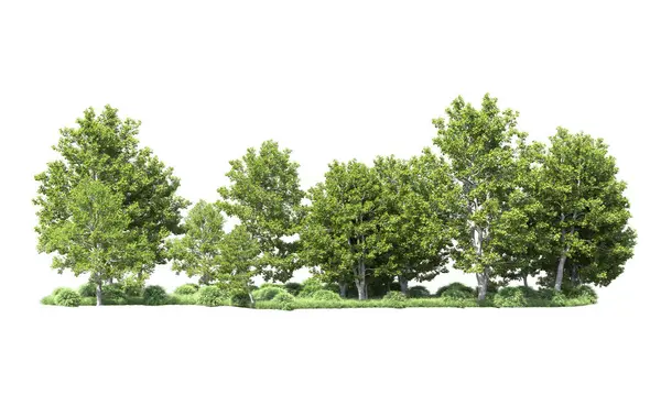 Beyaz arkaplanı olan bir grup ağaç 