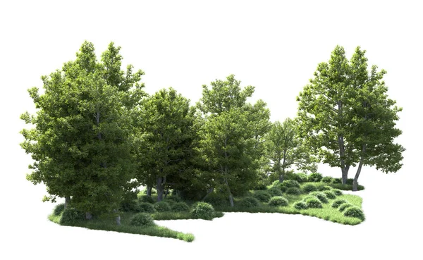 Beyaz arkaplanı olan bir grup ağaç 