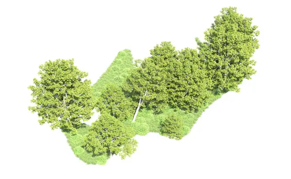 Beyaz arkaplanı olan bir grup ağaç 