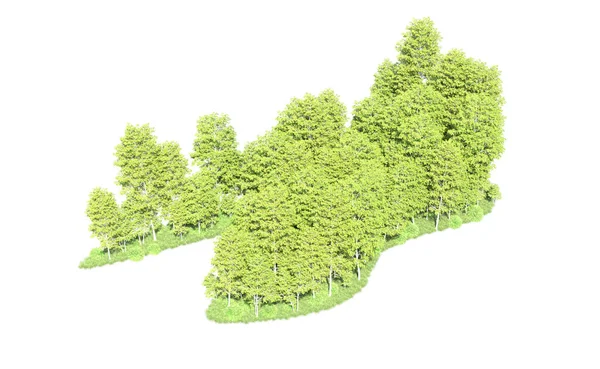 Beyaz arkaplanı olan bir grup ağaç 