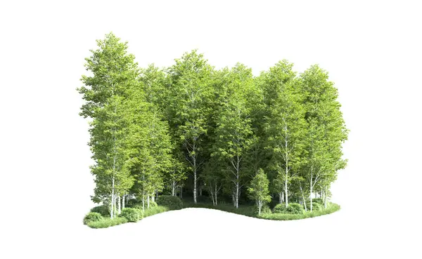 Beyaz arkaplanı olan bir grup ağaç 