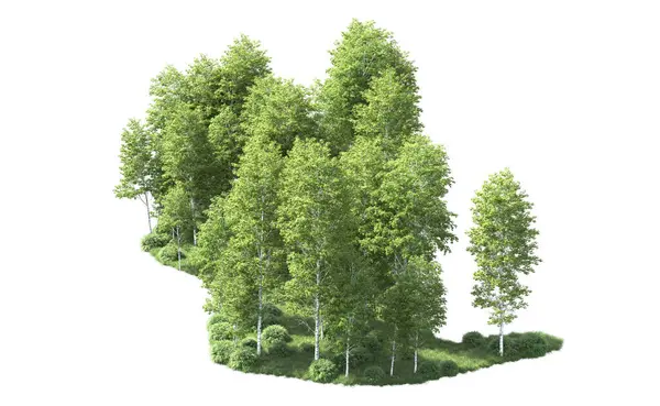 Beyaz arkaplanı olan bir grup ağaç 