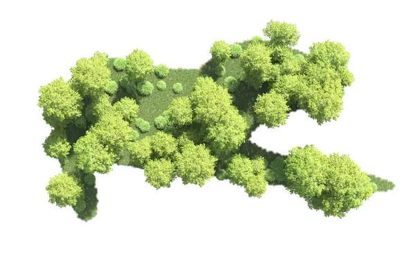 Beyaz arkaplanı olan bir grup ağaç 