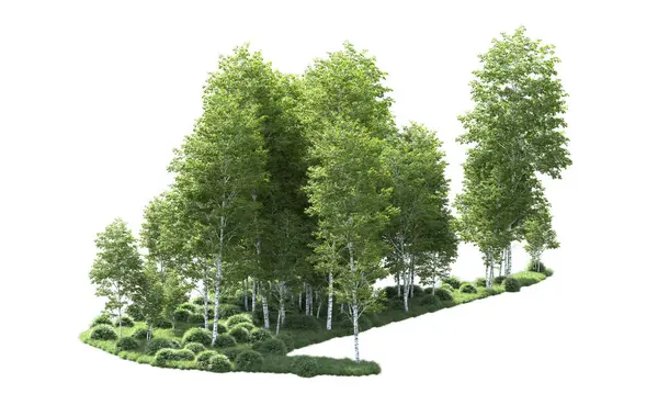 Beyaz arkaplanı olan bir grup ağaç 