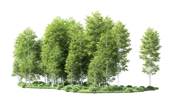Beyaz arkaplanı olan bir grup ağaç 
