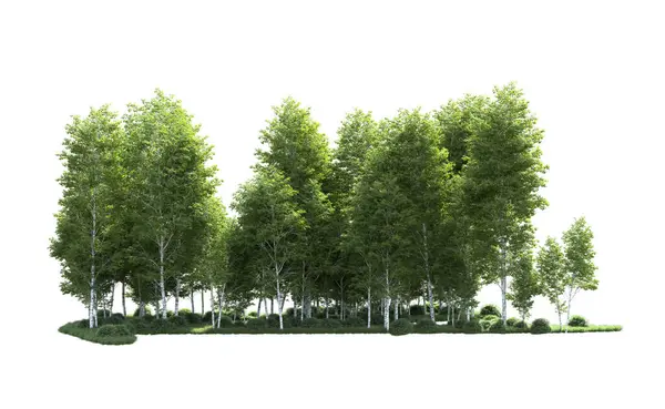 Beyaz arkaplanı olan bir grup ağaç 