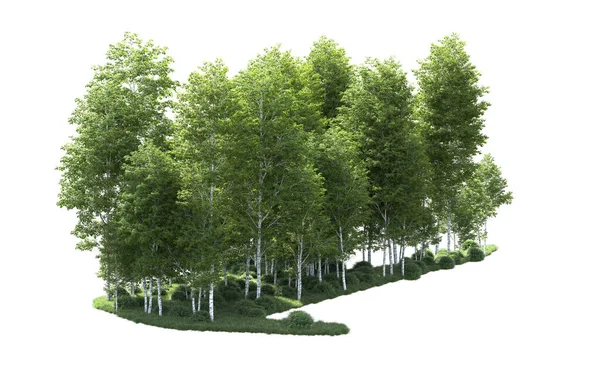 Beyaz arkaplanı olan bir grup ağaç 