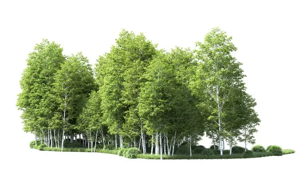 Beyaz zemin üzerine yeşil ağaçlar kadar kapatın