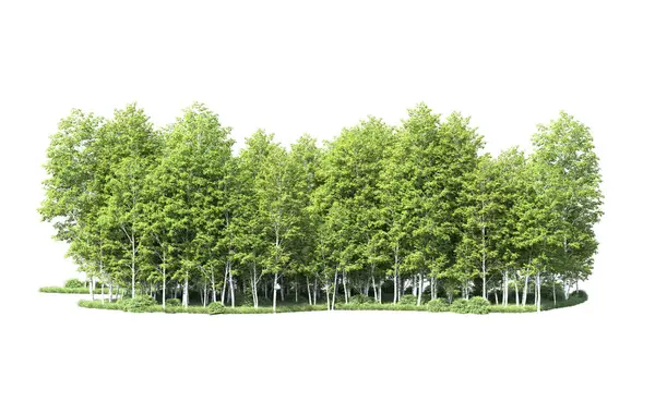 Beyaz zemin üzerine yeşil ağaçlar kadar kapatın