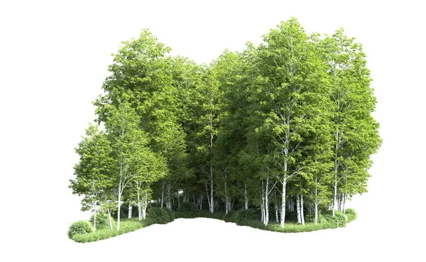 Beyaz zemin üzerine yeşil ağaçlar kadar kapatın