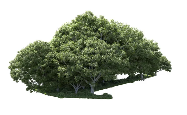 Beyaz arka plan üzerinde izole ağaçlar grubu