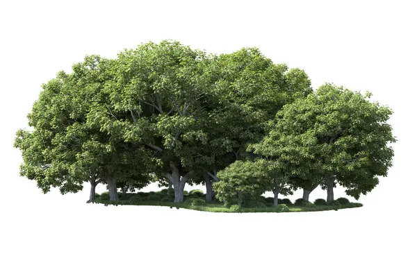 Beyaz arka plan üzerinde izole ağaçlar grubu