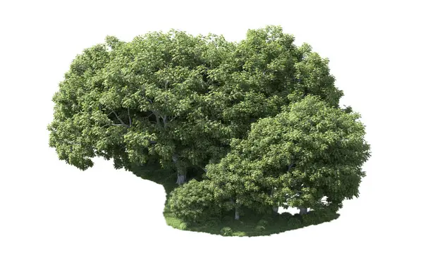 Beyaz arka plan üzerinde izole ağaçlar grubu