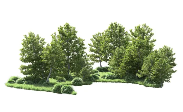 Beyaz arka plan üzerinde izole ağaçlar grubu