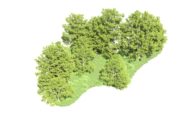 Beyaz arka plan üzerinde izole ağaçlar grubu