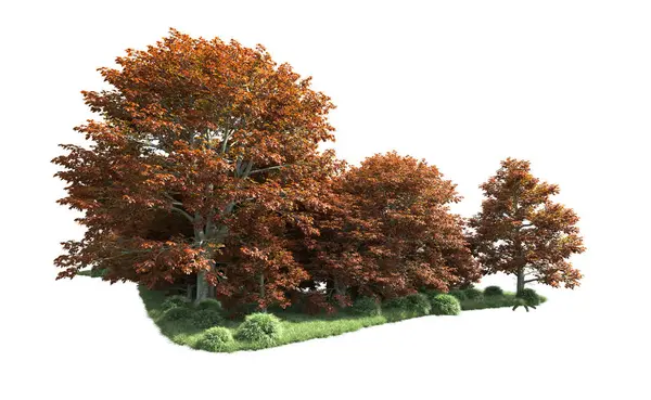 Beyaz arka plan üzerinde izole ağaçlar grubu