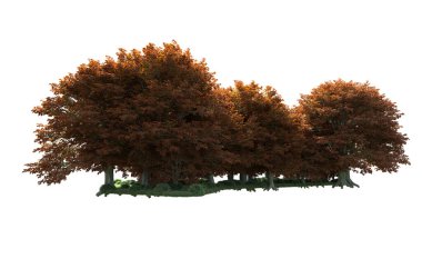 Beyaz arka plan üzerinde izole ağaçlar grubu