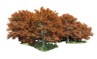 Beyaz arka plan üzerinde izole ağaçlar grubu