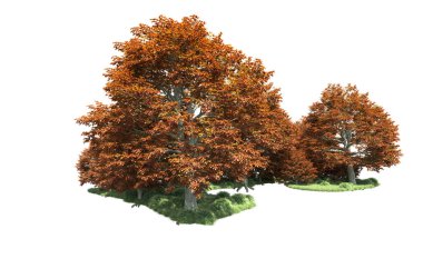 Beyaz arka plan üzerinde izole ağaçlar grubu