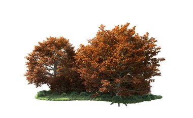 Beyaz arka plan üzerinde izole ağaçlar grubu