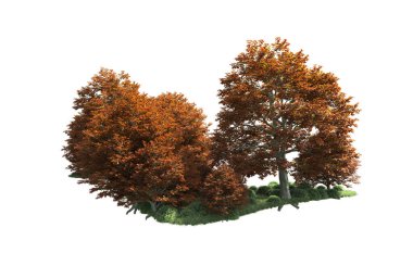 Orman ağaçları arka planda maskeyle izole edilmiş. 3d görüntüleme - illüstrasyon