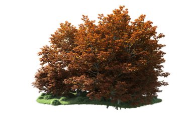 Orman ağaçları arka planda maskeyle izole edilmiş. 3d görüntüleme - illüstrasyon