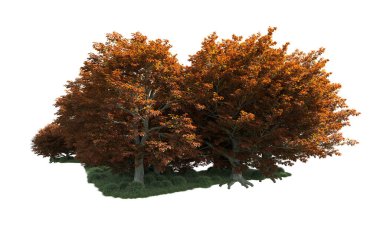 Orman ağaçları arka planda maskeyle izole edilmiş. 3d görüntüleme - illüstrasyon