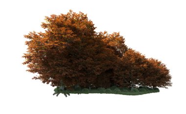 Orman ağaçları arka planda maskeyle izole edilmiş. 3d görüntüleme - illüstrasyon