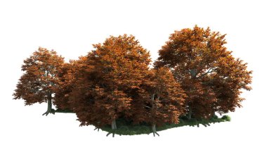 Orman ağaçları arka planda maskeyle izole edilmiş. 3d görüntüleme - illüstrasyon