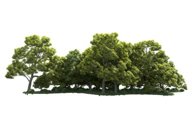 Orman ağaçları arka planda maskeyle izole edilmiş. 3d görüntüleme - illüstrasyon