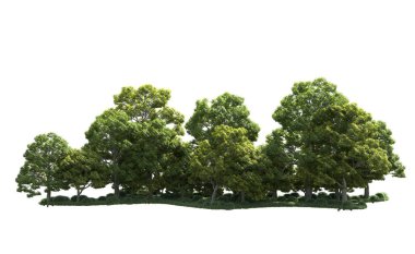 Beyaz arka plan üzerinde izole ağaçlar grubu