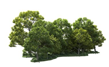 Beyaz arka plan üzerinde izole ağaçlar grubu