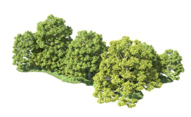 Beyaz arka plan üzerinde izole ağaçlar grubu