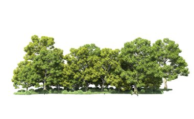 Beyaz arka plan üzerinde izole ağaçlar grubu