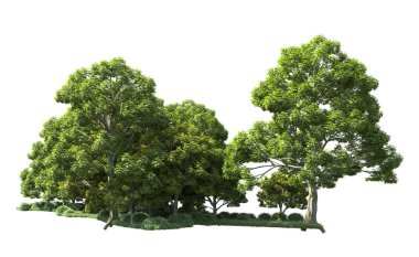 Beyaz arka plan üzerinde izole ağaçlar grubu