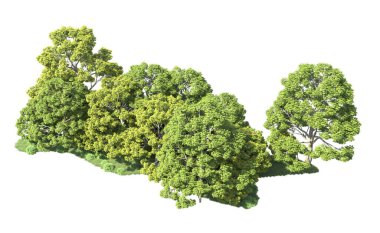 Beyaz arka plan üzerinde izole ağaçlar grubu