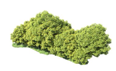 Beyaz arka plan üzerinde izole ağaçlar grubu