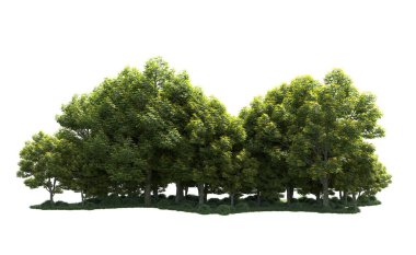 Beyaz arka plan üzerinde izole ağaçlar grubu