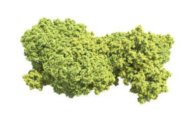 Beyaz arka plan üzerinde izole ağaçlar grubu