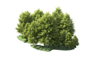 Beyaz arka plan üzerinde izole ağaçlar grubu