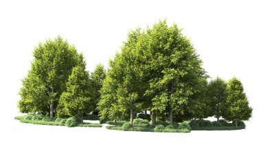 Beyaz arka plan üzerinde izole ağaçlar grubu