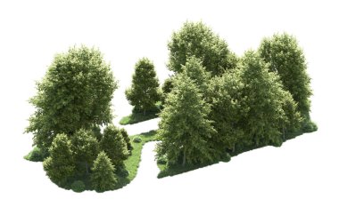 Beyaz arka plan üzerinde izole ağaçlar grubu