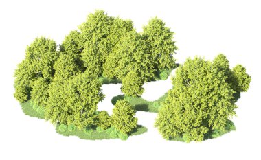 Beyaz arka plan üzerinde izole ağaçlar grubu