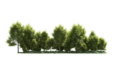 Beyaz arka plan üzerinde izole ağaçlar grubu