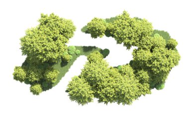 Beyaz arka plan üzerinde izole ağaçlar grubu