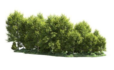 Beyaz arka plan üzerinde izole ağaçlar grubu