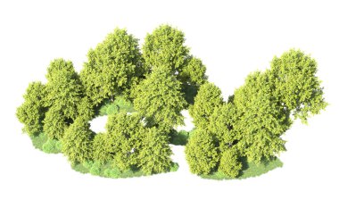 Beyaz arka plan üzerinde izole ağaçlar grubu